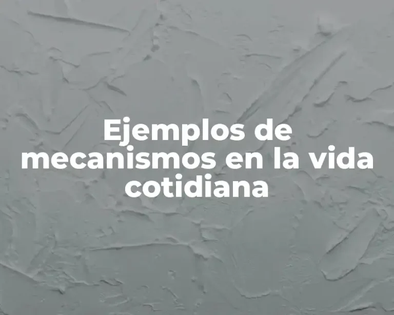Ejemplos de mecanismos en la vida cotidiana
