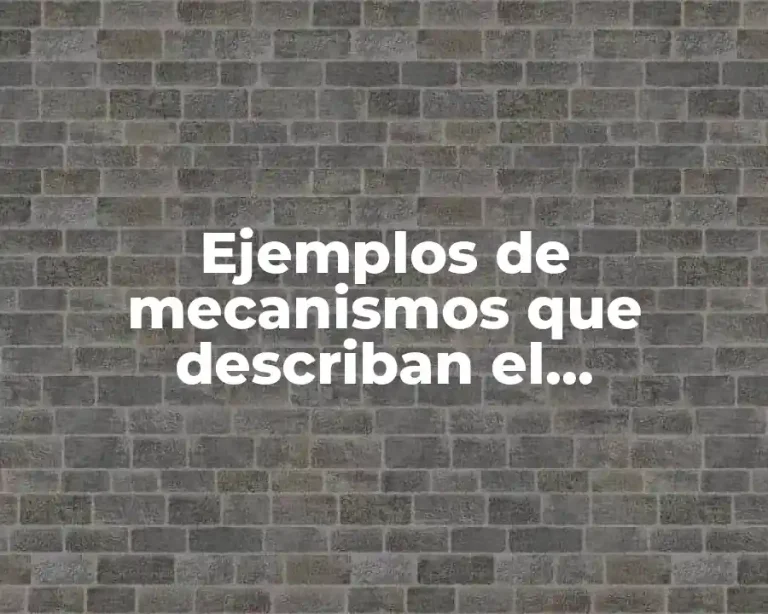 Ejemplos de mecanismos que describan el movimiento de traslación