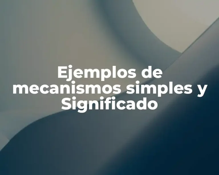 Ejemplos de mecanismos simples y Significado