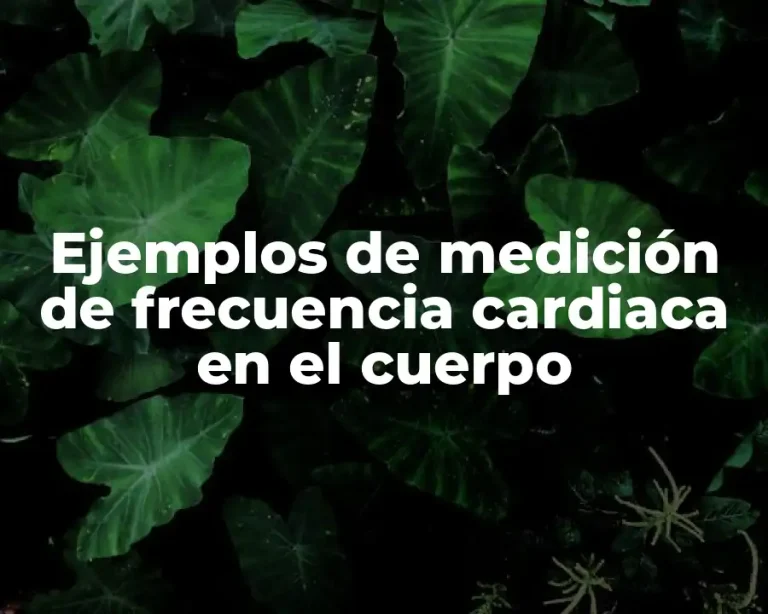 Ejemplos de medición de frecuencia cardiaca en el cuerpo