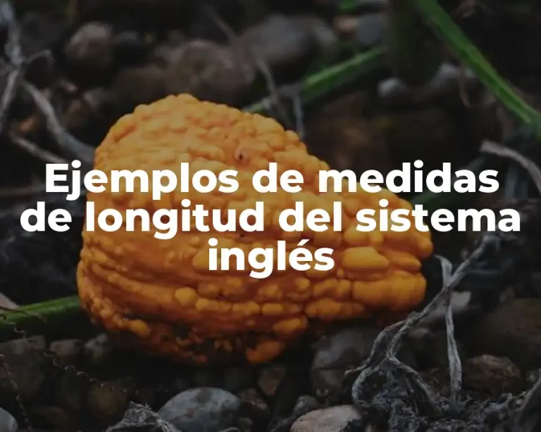 Ejemplos de medidas de longitud del sistema inglés