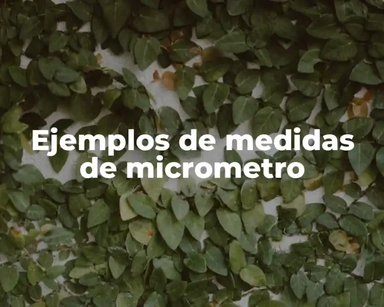 Ejemplos de medidas de micrometro