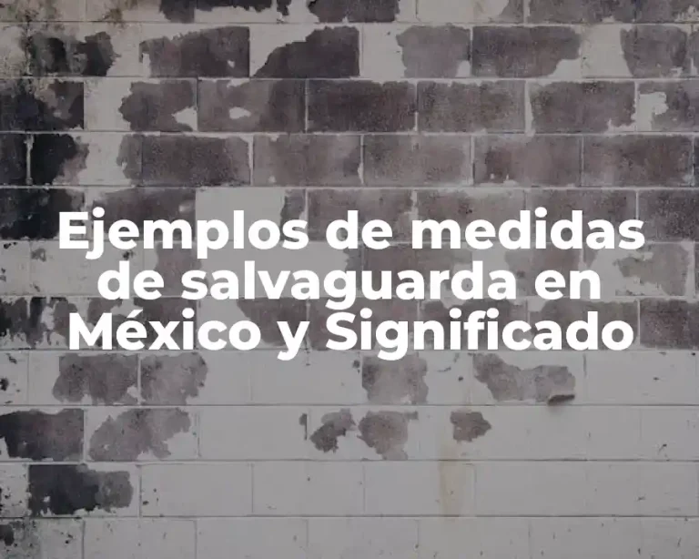 Ejemplos de medidas de salvaguarda en México y Significado