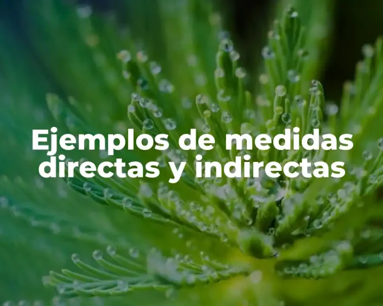 Ejemplos de medidas directas y indirectas