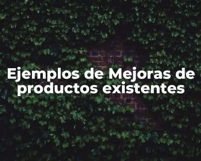 Ejemplos de Mejoras de productos existentes