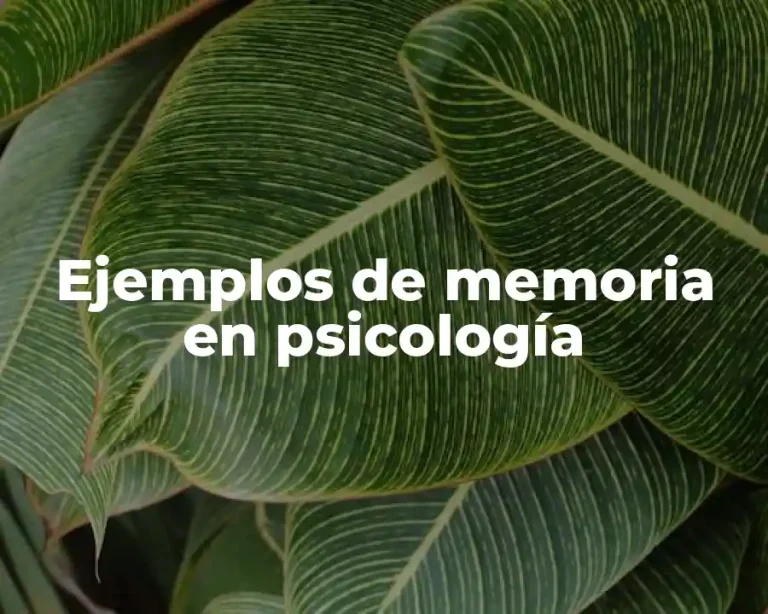 Ejemplos de memoria en psicología