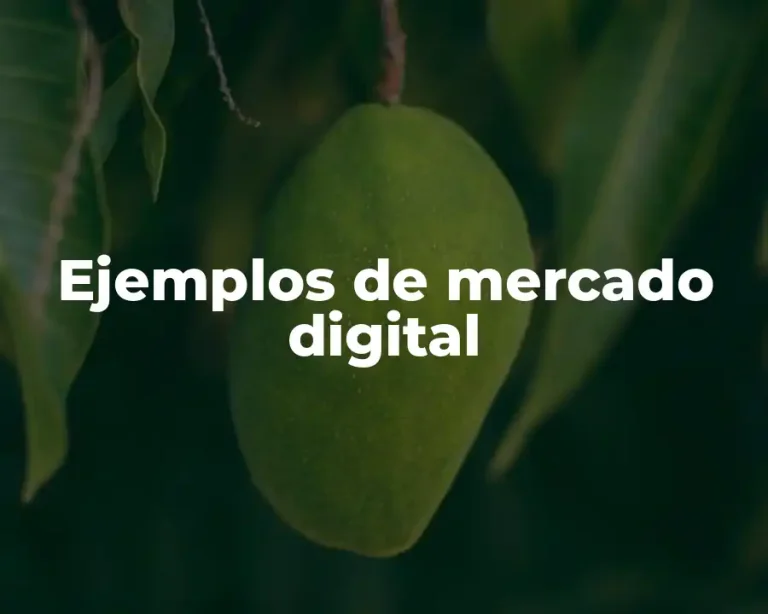 Ejemplos de mercado digital