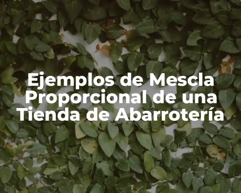 Ejemplos de Mescla Proporcional de una Tienda de Abarrotería