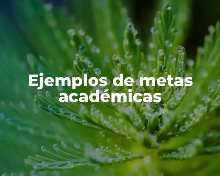 Ejemplos de metas académicas