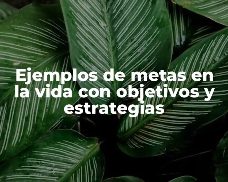 Ejemplos de metas en la vida con objetivos y estrategias