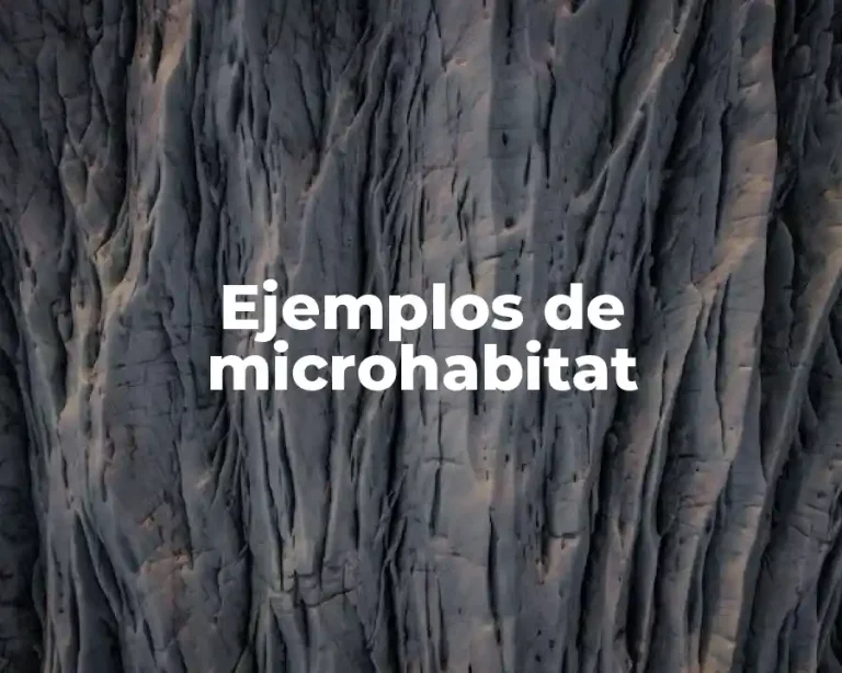 Ejemplos de microhabitat