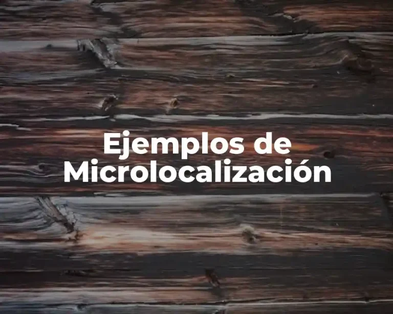 Ejemplos de Microlocalización
