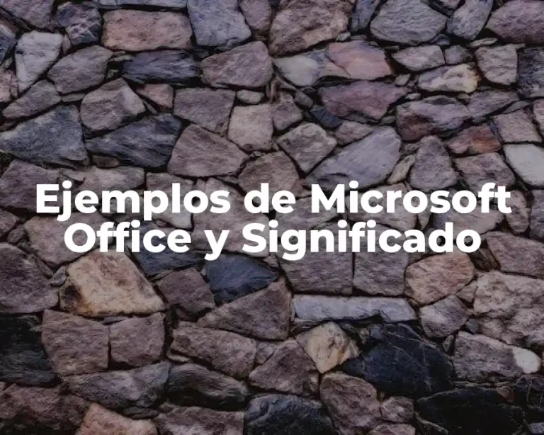 Ejemplos de Microsoft Office y Significado