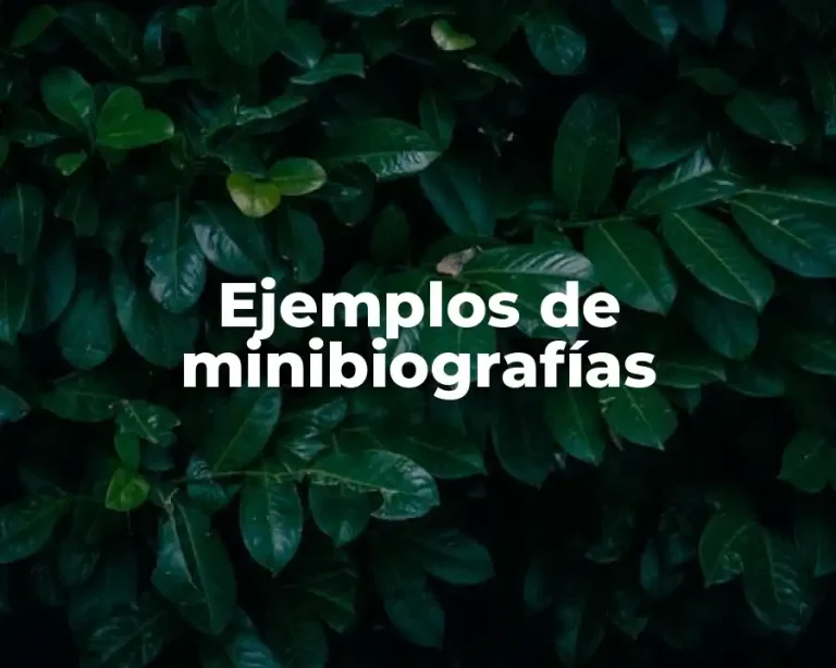 Ejemplos de minibiografías