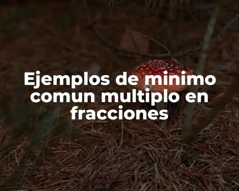 Ejemplos de minimo comun multiplo en fracciones