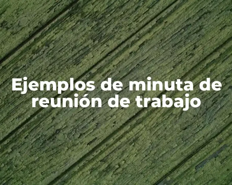 Ejemplos de minuta de reunión de trabajo