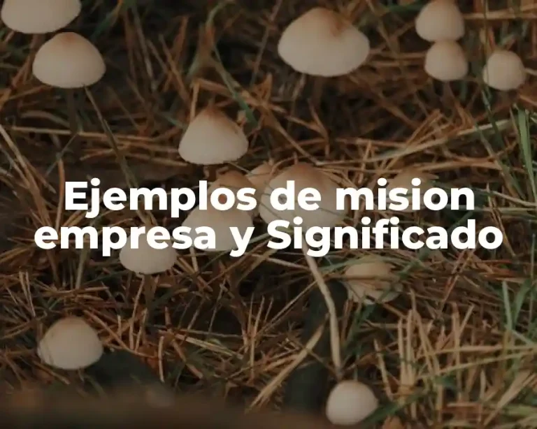 Ejemplos de mision empresa y Significado