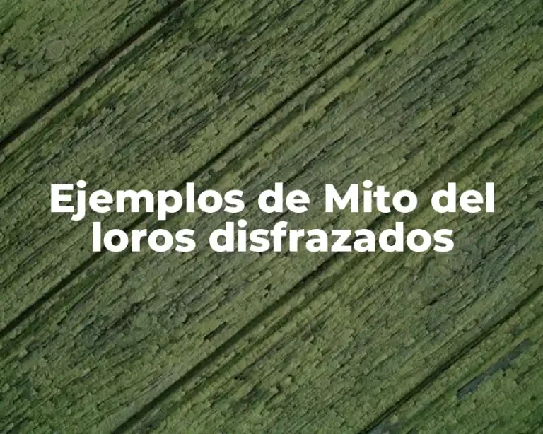 Ejemplos de Mito del loros disfrazados