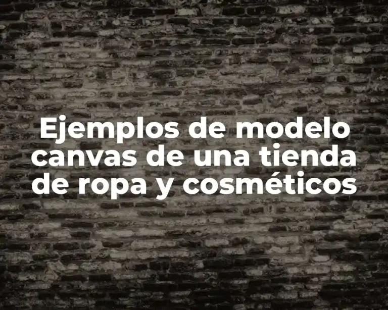 Ejemplos de modelo canvas de una tienda de ropa y cosméticos