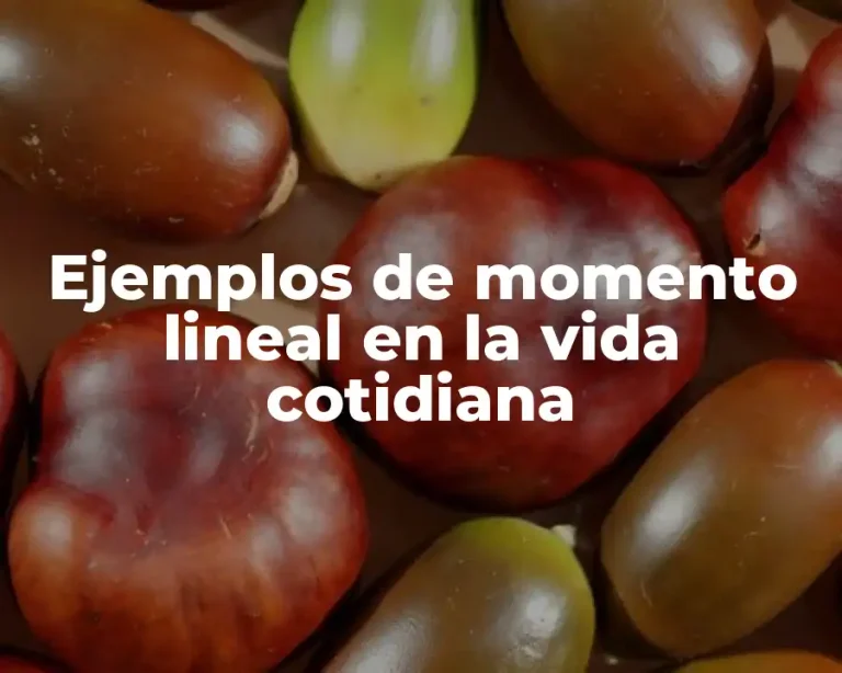 Ejemplos de momento lineal en la vida cotidiana