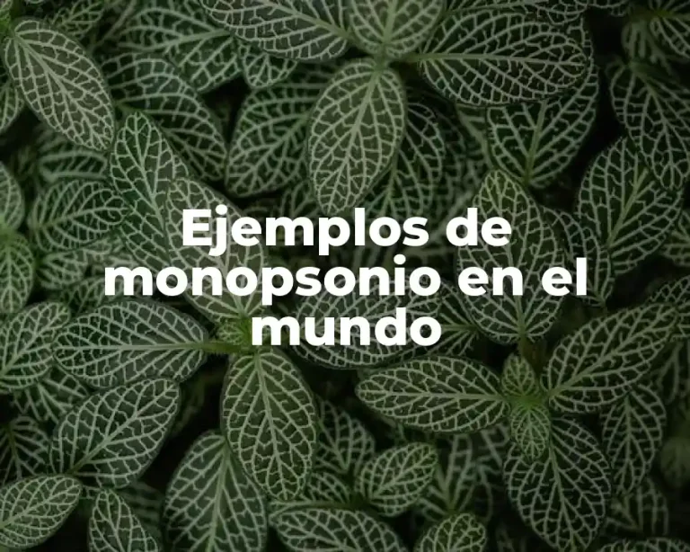 Ejemplos de monopsonio en el mundo