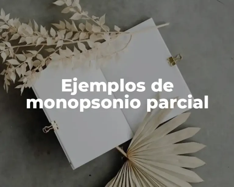 Ejemplos de monopsonio parcial