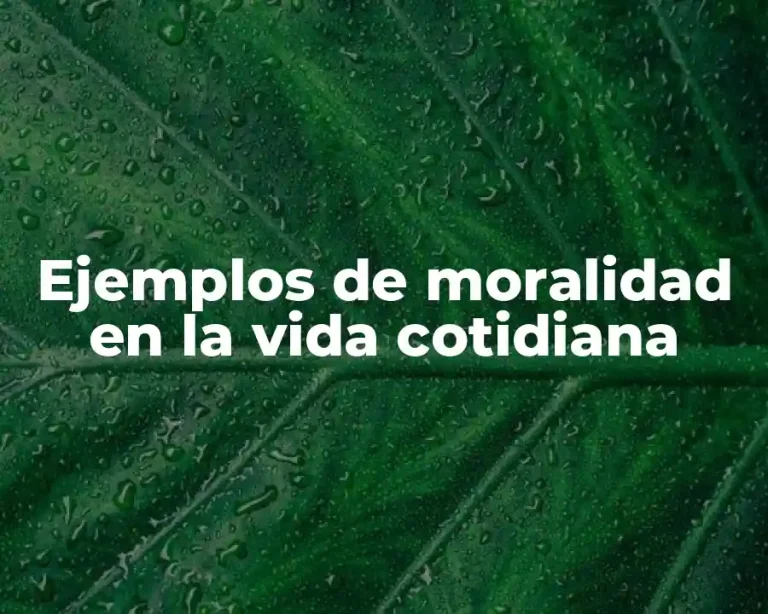 Ejemplos de moralidad en la vida cotidiana