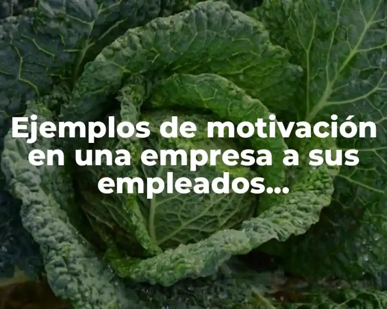 Ejemplos de motivación en una empresa a sus empleados actualmente