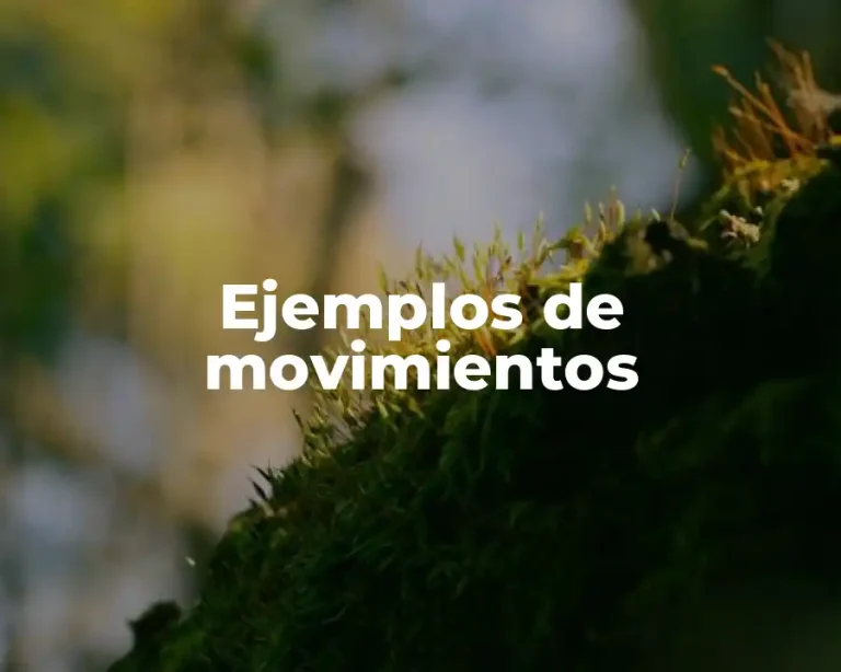 Ejemplos de movimientos