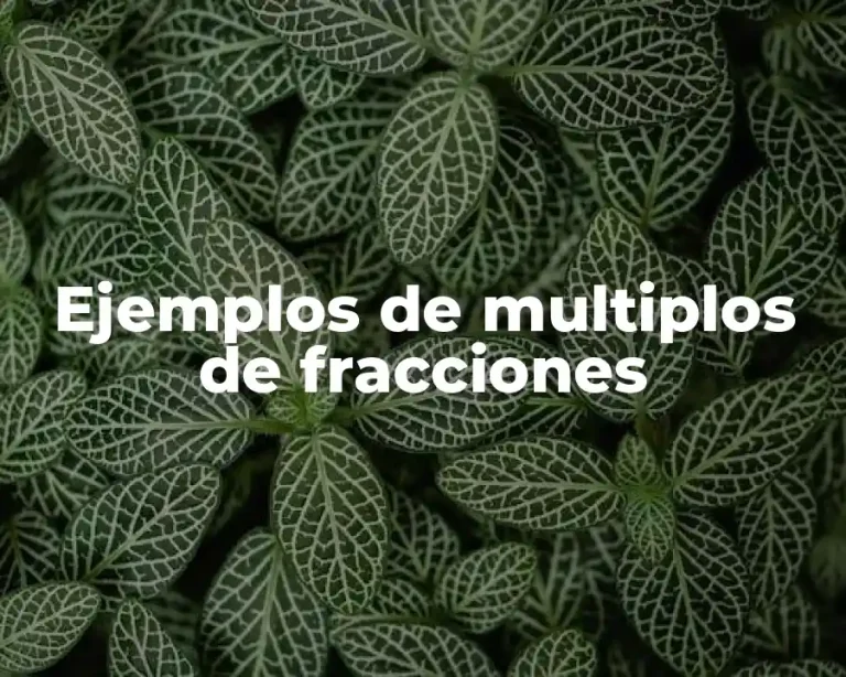 Ejemplos de multiplos de fracciones