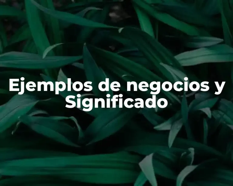 Ejemplos de negocios y Significado