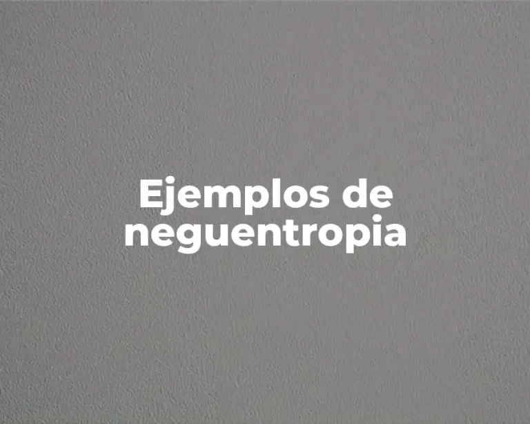 Ejemplos de neguentropia