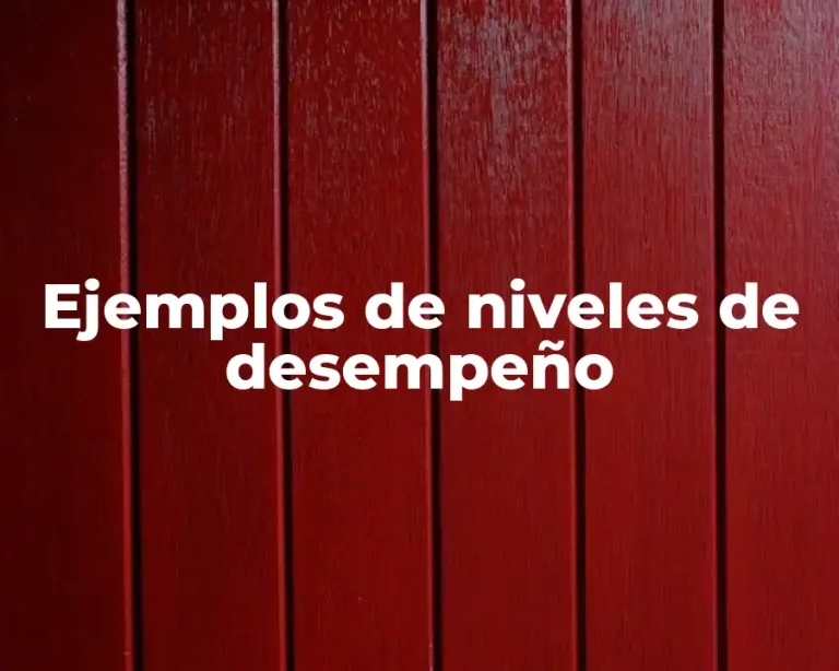 Ejemplos de niveles de desempeño
