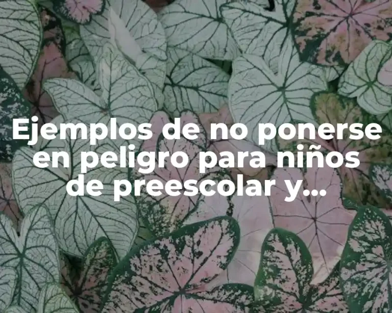 Ejemplos de no ponerse en peligro para niños de preescolar y Significado