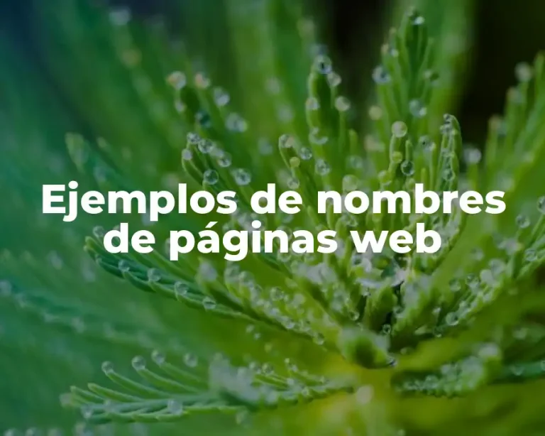 Ejemplos de nombres de páginas web