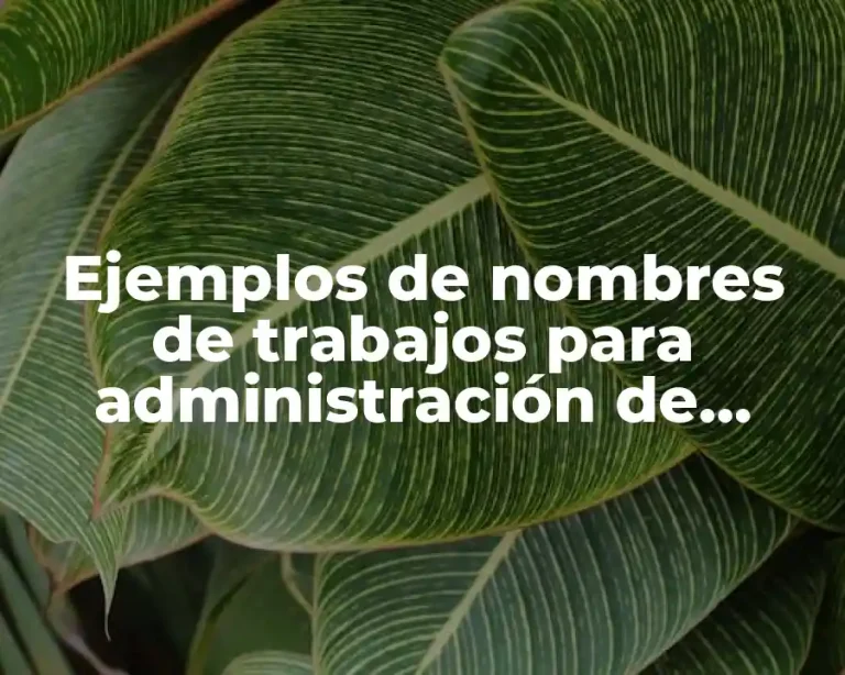 Ejemplos de nombres de trabajos para administración de recursos humanos
