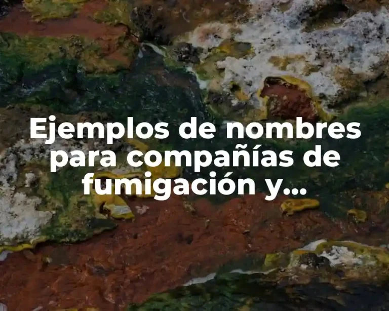 Ejemplos de nombres para compañías de fumigación y Significado