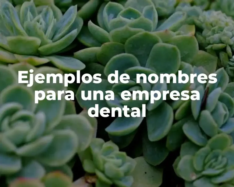 Ejemplos de nombres para una empresa dental