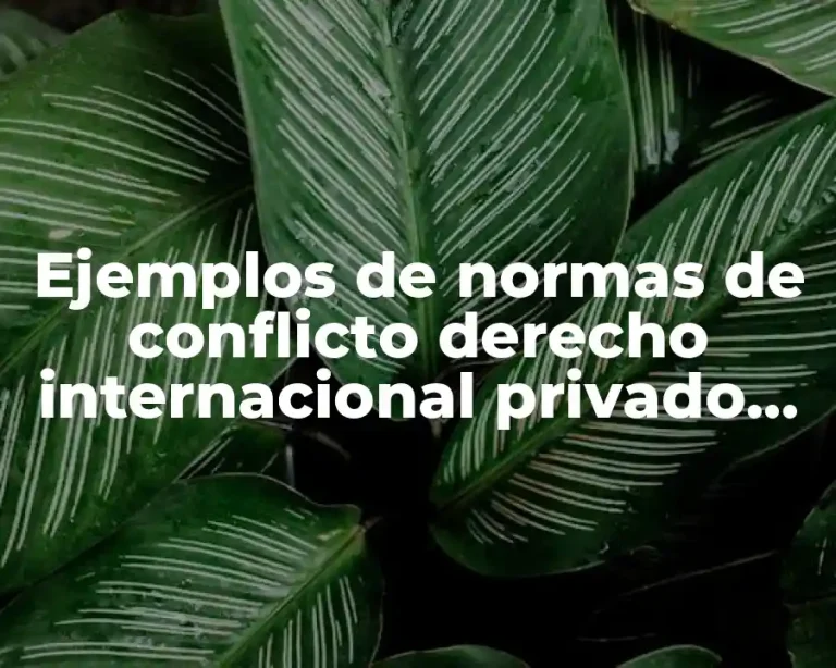 Ejemplos de normas de conflicto derecho internacional privado sobre