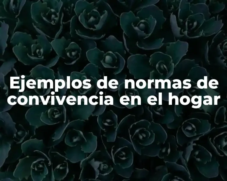 Ejemplos de normas de convivencia en el hogar