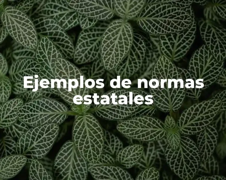 Ejemplos de normas estatales