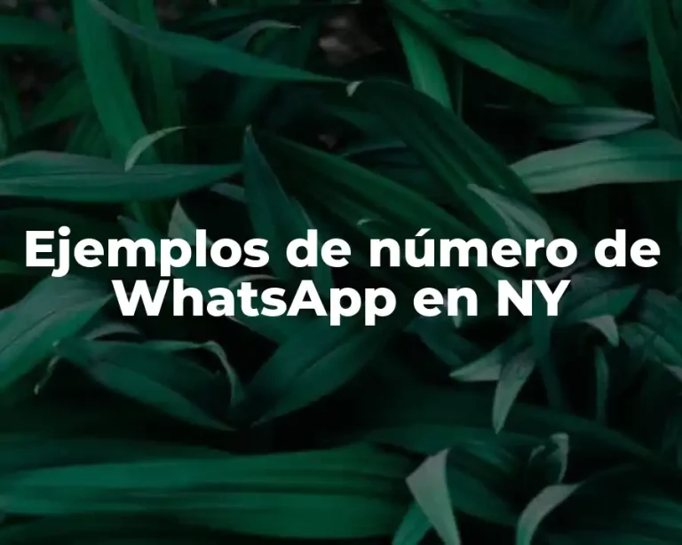 Ejemplos de número de WhatsApp en NY