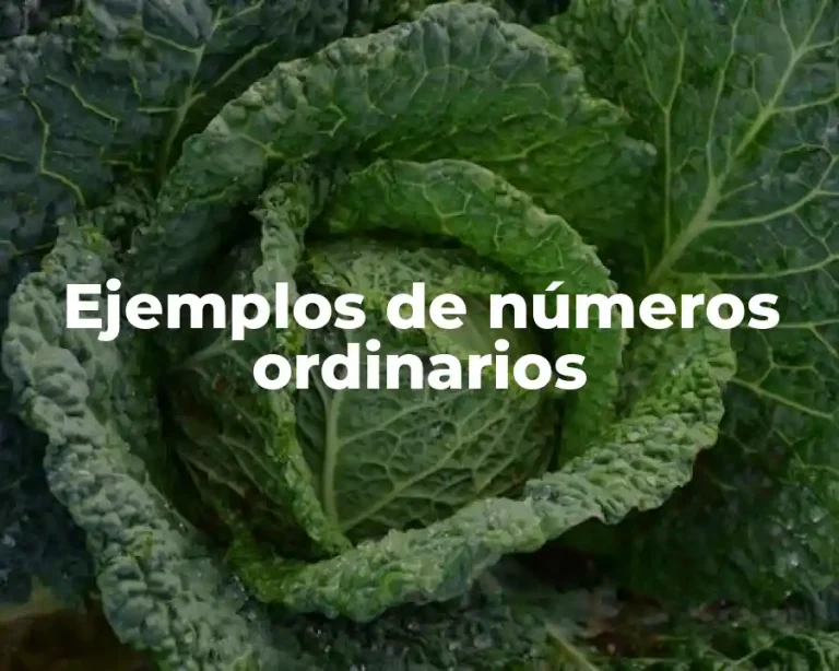 Ejemplos de números ordinarios