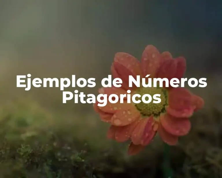 Ejemplos de Números Pitagoricos