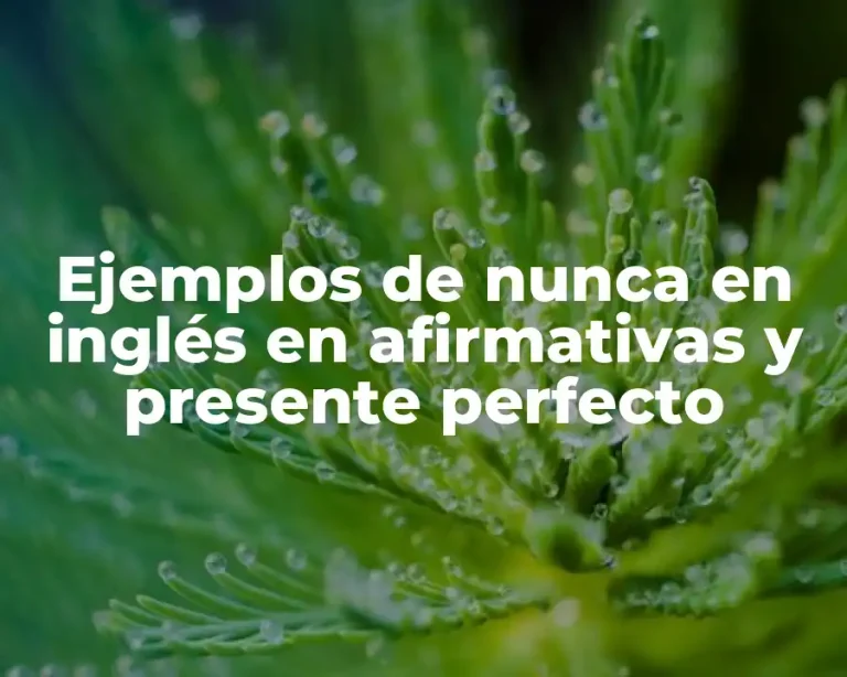 Ejemplos de nunca en inglés en afirmativas y presente perfecto