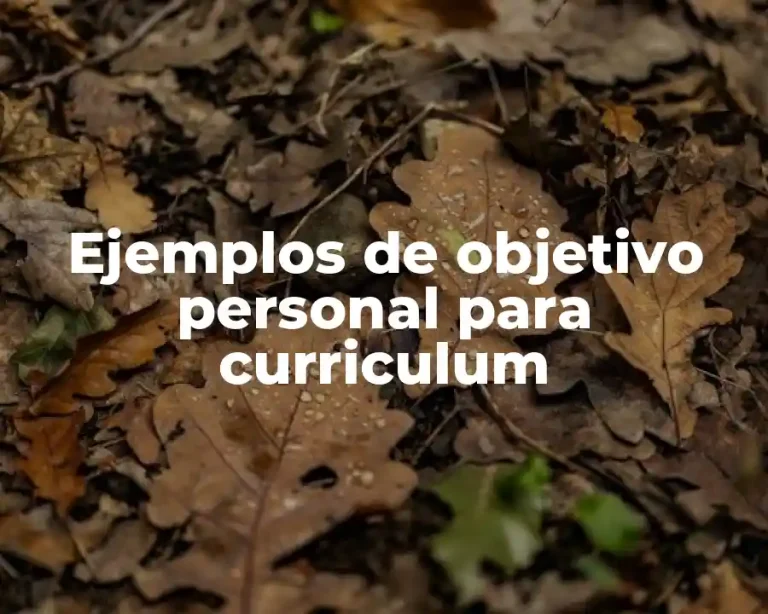 Ejemplos de objetivo personal para curriculum