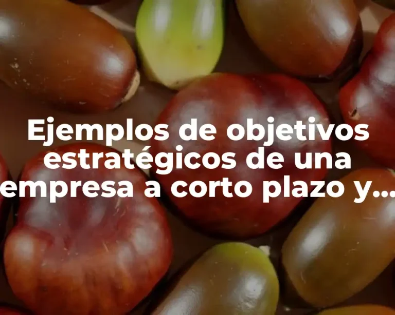 Ejemplos de objetivos estratégicos de una empresa a corto plazo y Significado