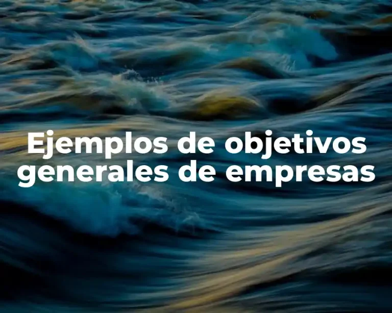 Ejemplos de objetivos generales de empresas