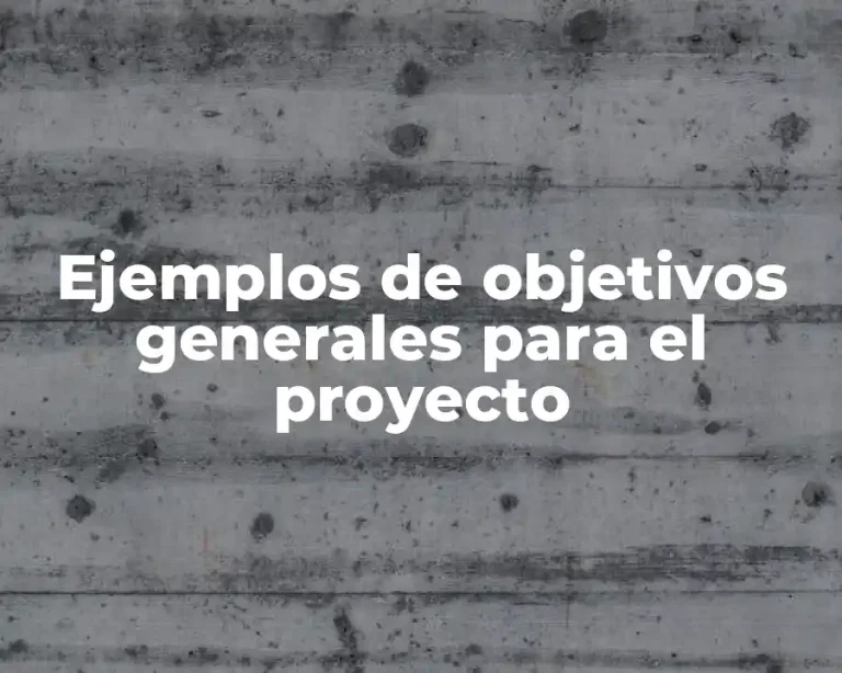 Ejemplos de objetivos generales para el proyecto