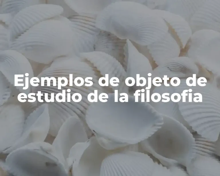 Ejemplos de objeto de estudio de la filosofia